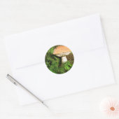Sticker Rond Champagne (Enveloppe)