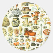 Sticker Rond Champignon Adolphe Millot (Devant)