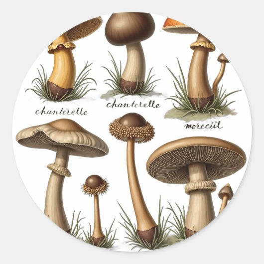Sticker Rond Champignon Botanique (Devant)