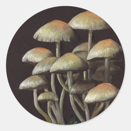 Sticker Rond Champignons (Devant)