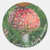 Sticker Rond Champignons agariques volants (Devant)