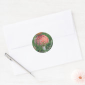 Sticker Rond Champignons agariques volants (Enveloppe)