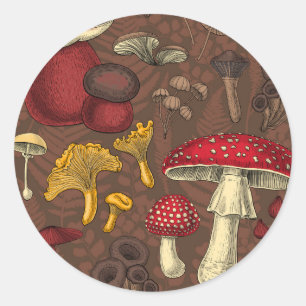 Sticker Rond Champignons sauvages sur brun