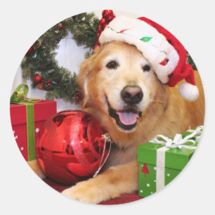 Sticker Rond Champion - golden retriever - Lukas