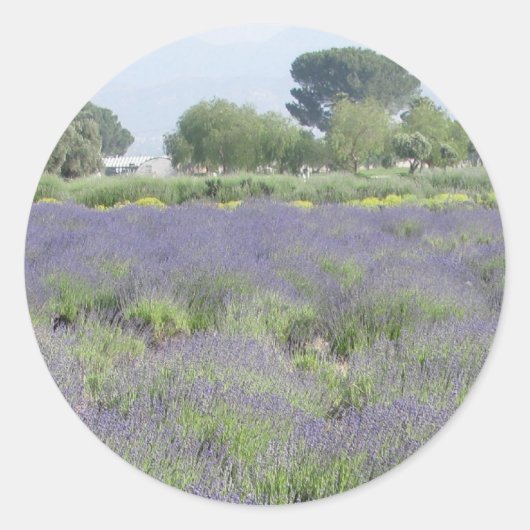 Sticker Rond Champs Lavande (Devant)
