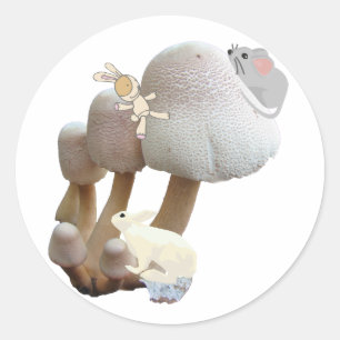 Sticker Rond Champy Baby Toy Jouet aire de jeu