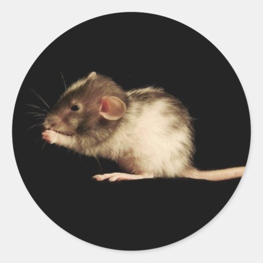 Sticker Rond chanceux (Devant)