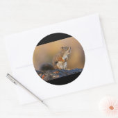 Sticker Rond Chanter l'écureuil (Enveloppe)