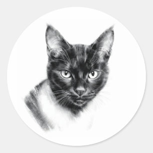 Sticker Rond Charbon de Chat