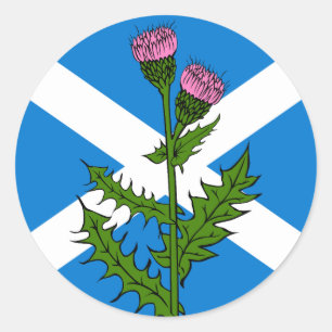 Sticker Rond Chardon écossais
