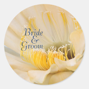 Sticker Rond Charlemagne Echinopsis en fleur Mariée et mariée
