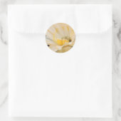 Sticker Rond Charlemagne Echinopsis en fleurs (Sac)