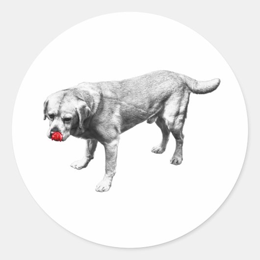 Sticker Rond Charme de sortie de langue (Devant)