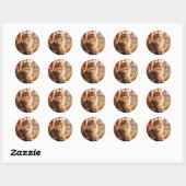 Sticker Rond Charming Maine Coon Chat (Feuille)