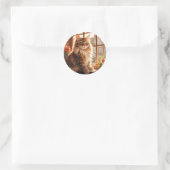 Sticker Rond Charming Maine Coon Chat (Sac)
