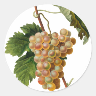 Sticker rond Chasselat de Fontainebleau