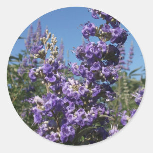 Sticker Rond Chaste Tree Purple Flowers