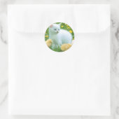 Sticker Rond chat (Sac)