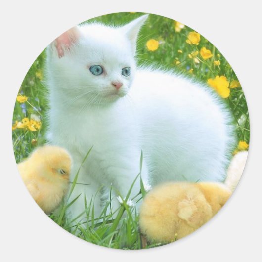 Sticker Rond chat (Devant)