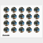 Sticker Rond Chat 396 Siamais (Feuille)