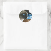 Sticker Rond Chat 396 Siamais (Sac)