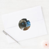 Sticker Rond Chat 396 Siamais (Enveloppe)