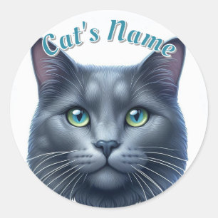 Sticker Rond Chat à poil long gris assez solide ・ Personnalisé