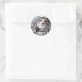 Sticker Rond Chat affamé (Sac)