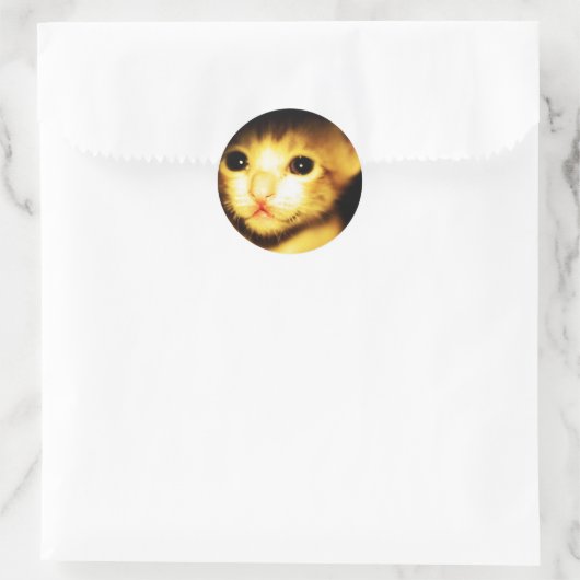 Sticker Rond chat bébé (Sac)