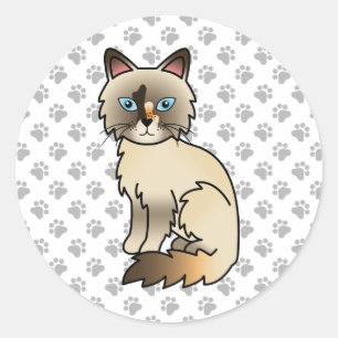 Sticker Rond Chat Birman écaille de tortue / Ragdoll mignon & p