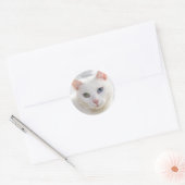 Sticker Rond chat blanc aux yeux étranges (Enveloppe)