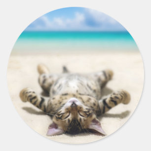 Sticker Rond Chat bronzage à la plage