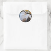 Sticker Rond Chat calcaire dormant (Sac)