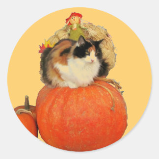 Sticker Rond Chat calicot et épouvantail sur citrouilles
