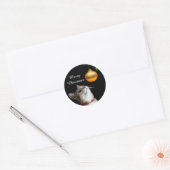 Sticker Rond Chat chaton testé Noël (Enveloppe)