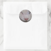 Sticker Rond Chat couché (Sac)