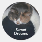 Sticker Rond Chat couché Cute Calico au-dessus de l'épaule (Devant)