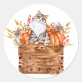 Sticker Rond Chat d'automne et citrouilles en boîte (Devant)