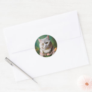 Sticker Rond Chat de jardinage