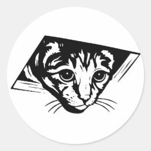 Sticker Rond Chat de plafond
