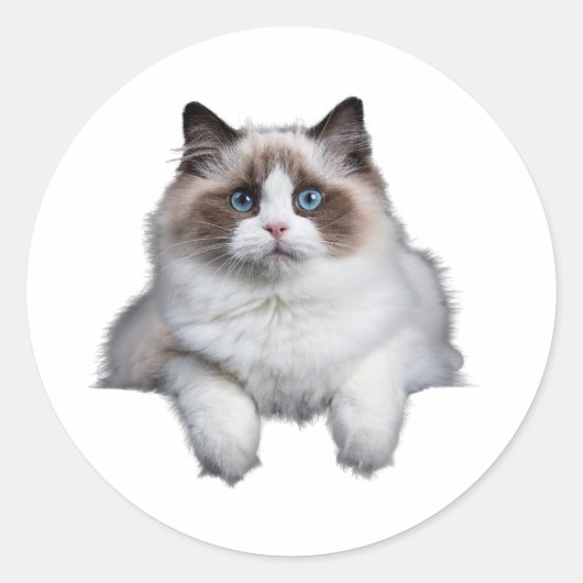 Sticker Rond Chat de poupée mignonne (Devant)