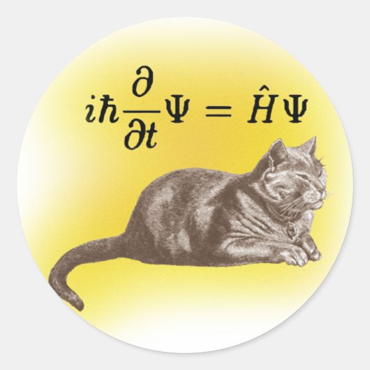 Sticker Rond Chat de Schrodinger (Devant)