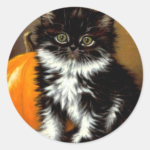 Sticker Rond Chat d'Halloween noir et blanc vintage