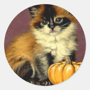 Sticker Rond Chat d'Halloween Ragdoll vintage