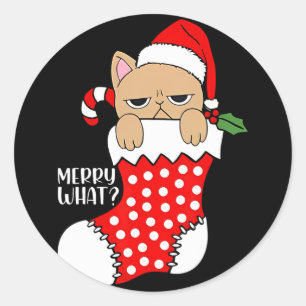 Sticker Rond Chat Drôle En Stocker Noël Chat Noël Noël Noël