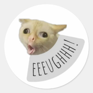 Sticker Rond chat drôle mème