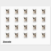 Sticker Rond chat drôle mème (Feuille)