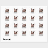 Sticker Rond chat drôle mème (Feuille)