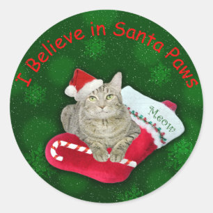 Sticker Rond Chat en attente de Père Noël