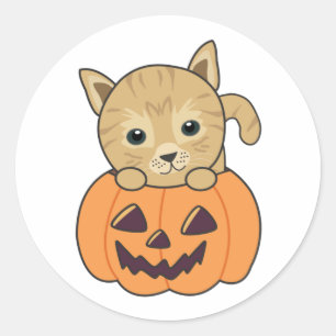 Sticker Rond Chat En Citrouille Chats Doux Joyeux Halloween Cla